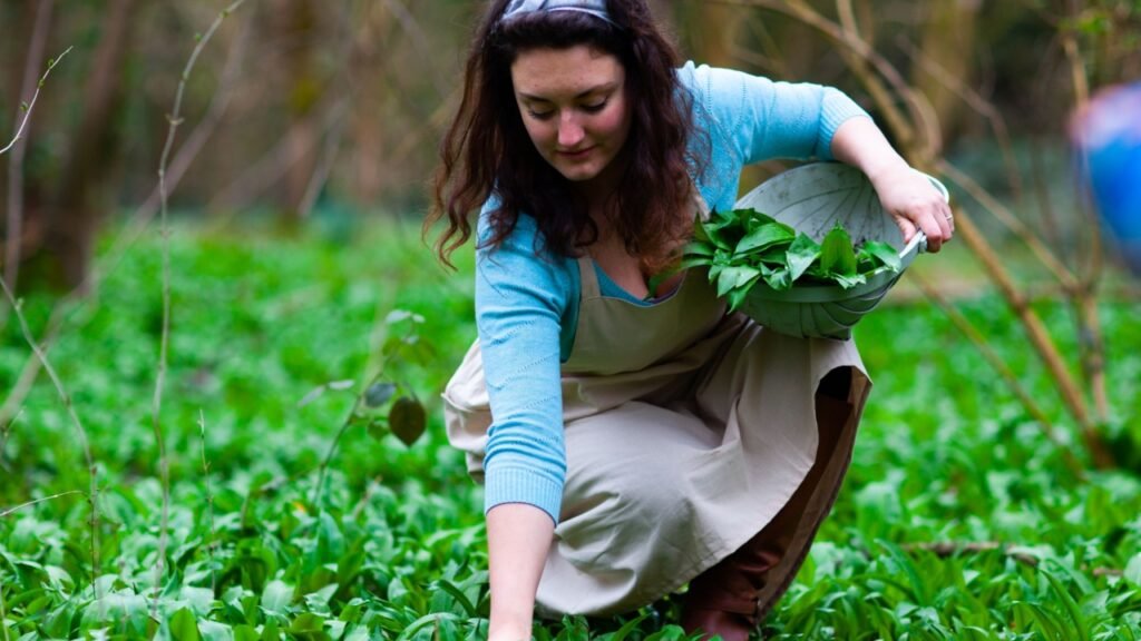 woman foraging for edible food