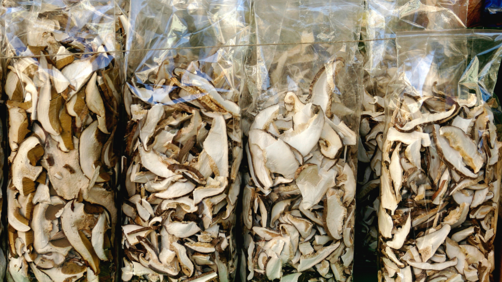 Dried Mushroom