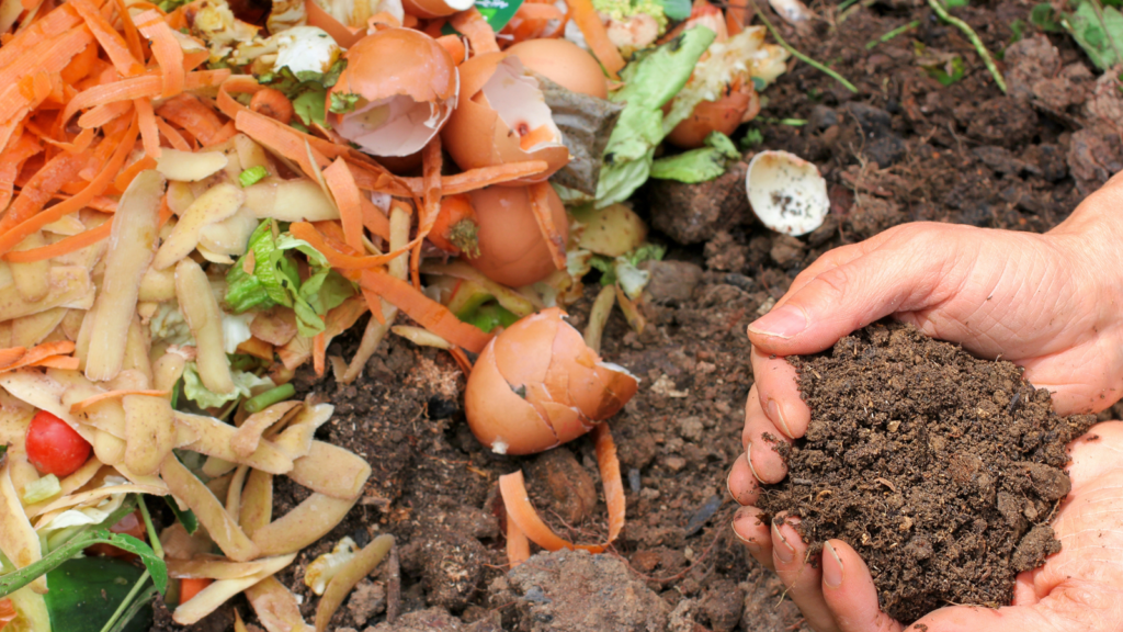 Composting Kitchen Scraps