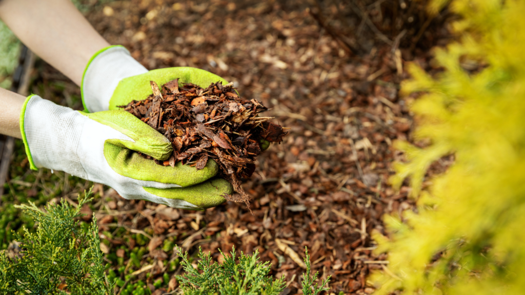 Mulch with Organic Materials