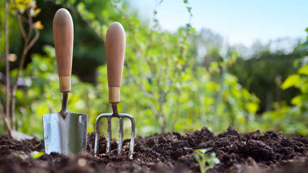 Transform Your Garden with These 10 DIY Soil-Boosting Tricks