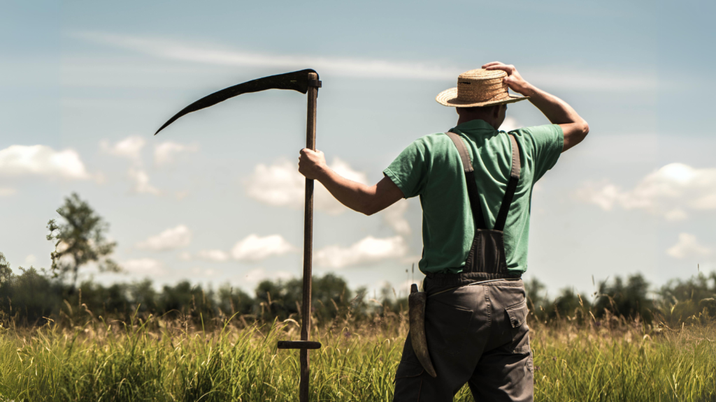 12 Essential Tools to Make Homesteading Easier Than Ever