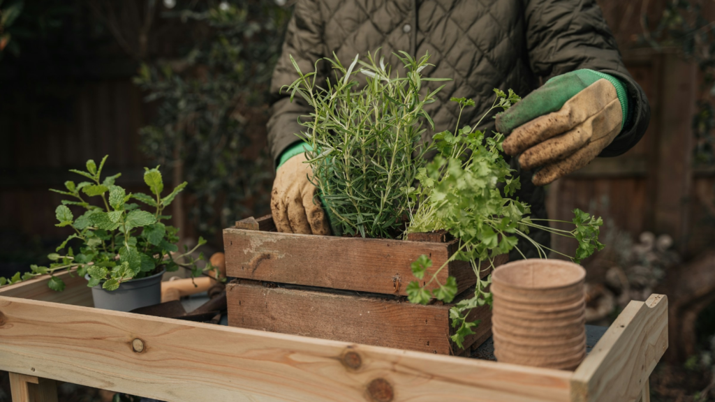 Gardening