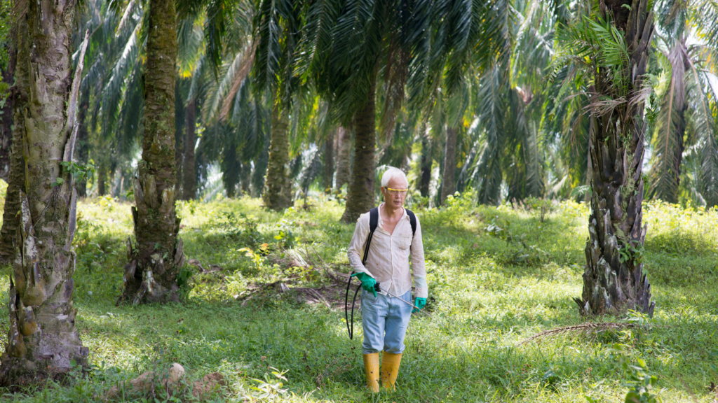 Resist the Urge to Use Herbicides on Tree Suckers