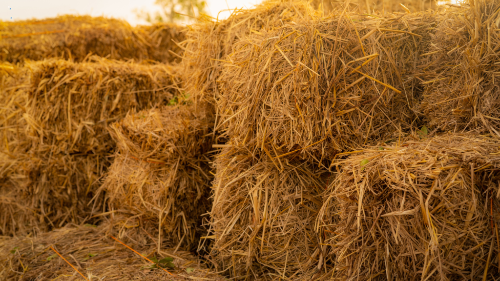 straw bales