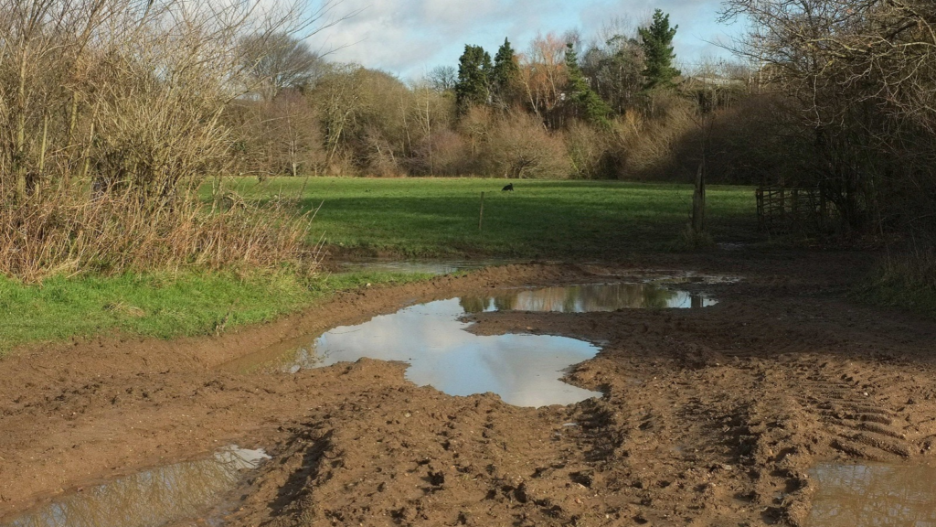 Muddy Puddles