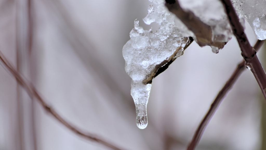 melting snow