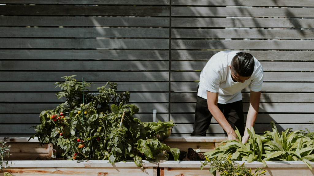 Gardening