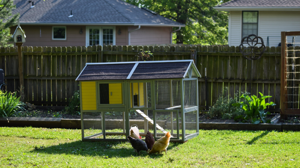 Urban Homesteading