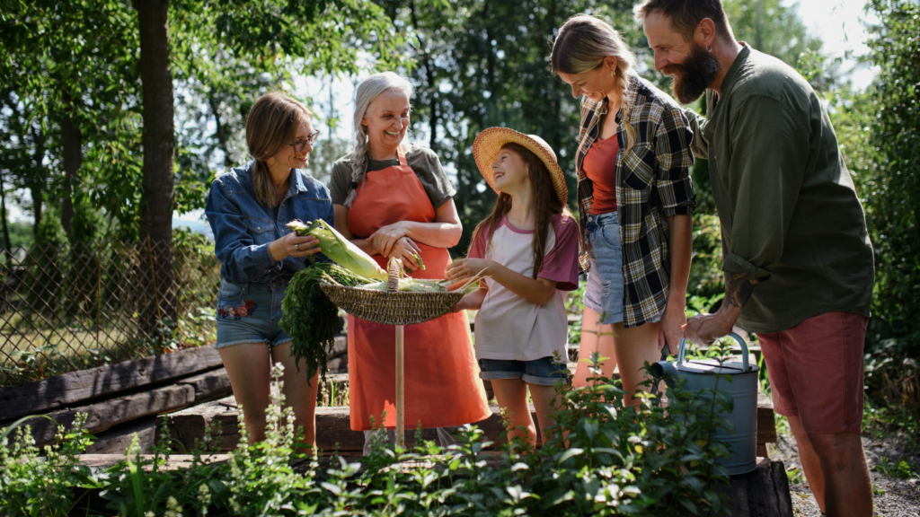 Homesteading