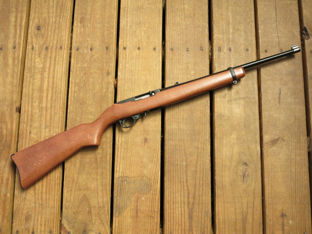 Ruger 10/22
