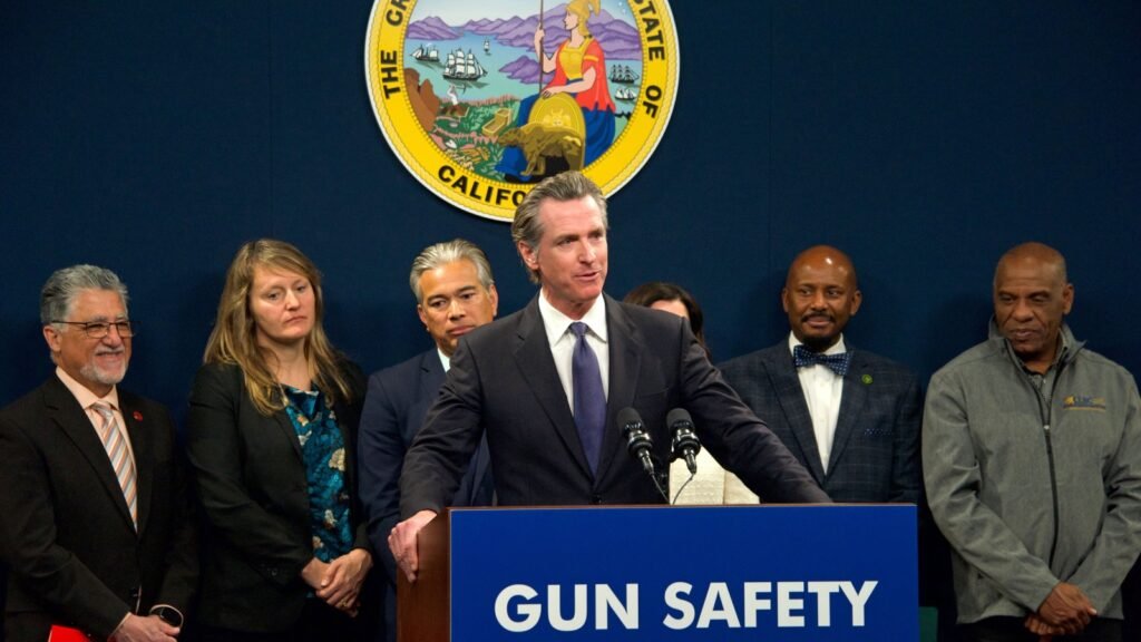 press conference about gun safety
