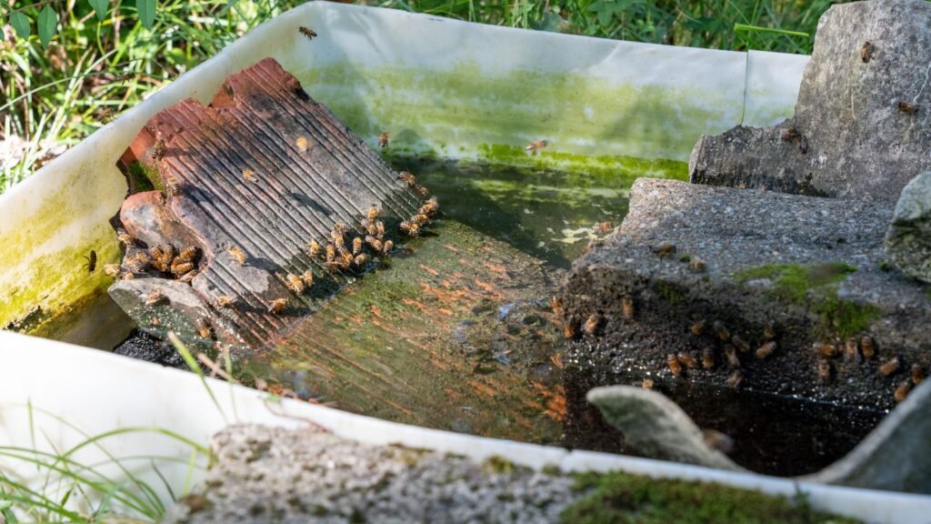 Water dish for bees