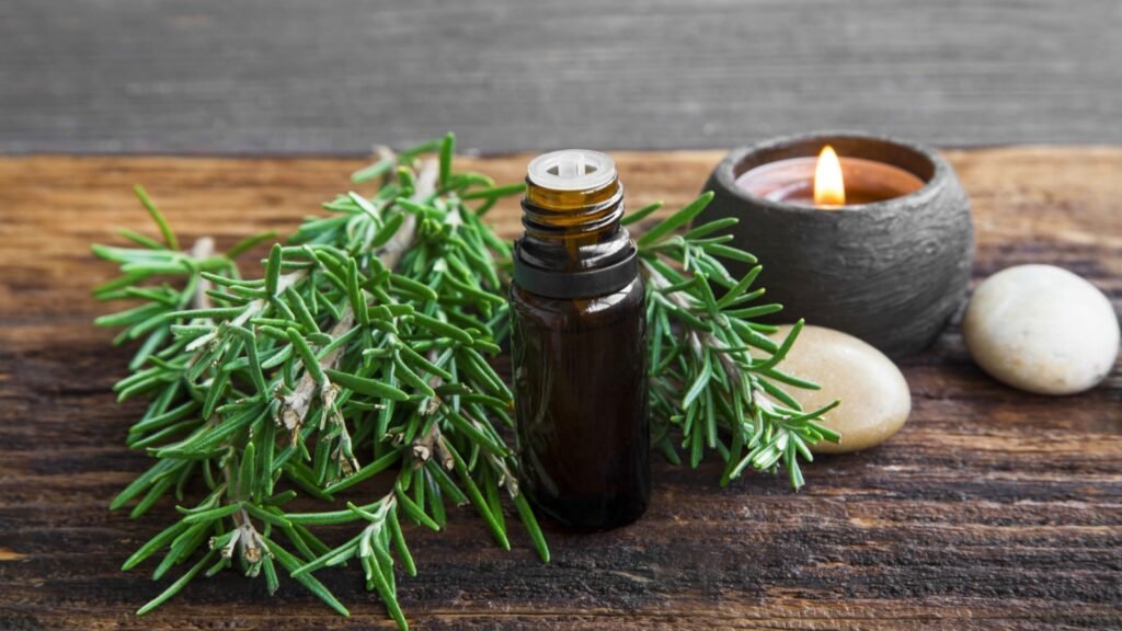 Rosemary Oil