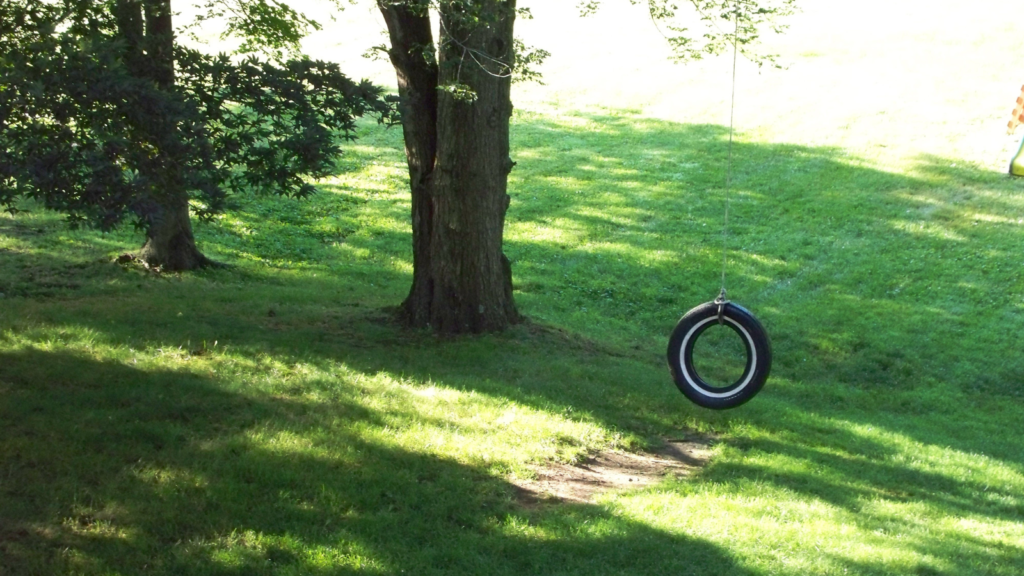 Tire swing
