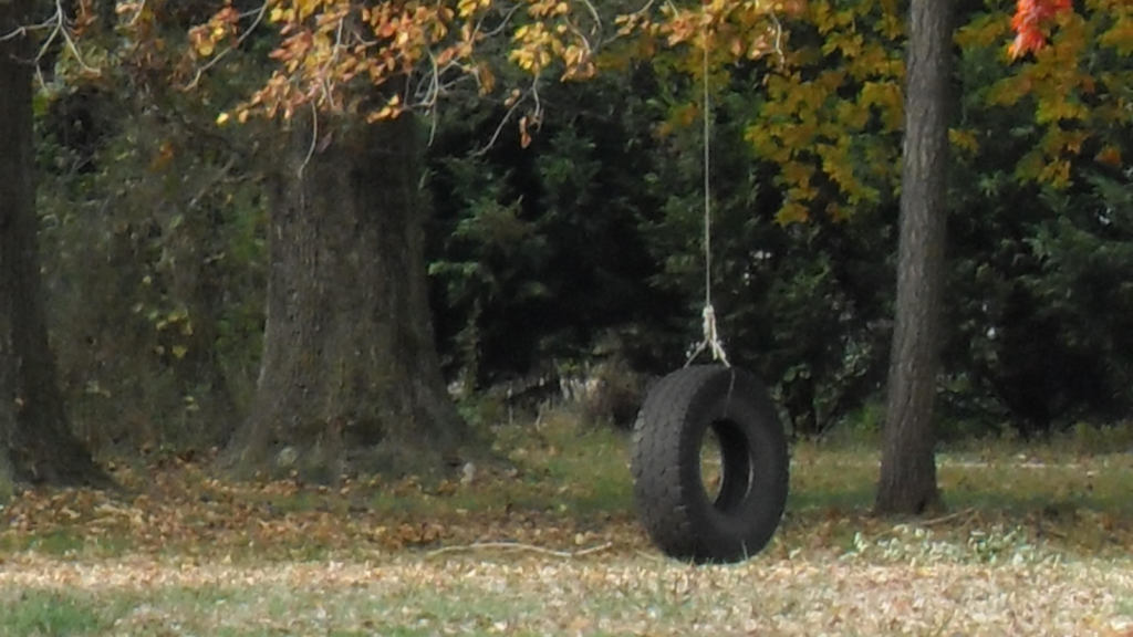 Tire swing
