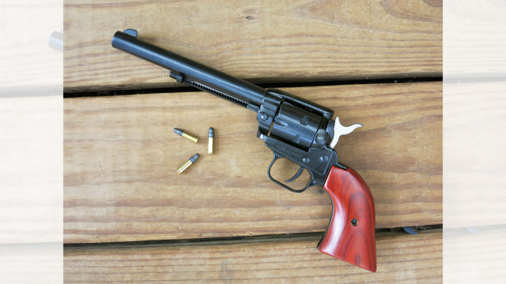 Heritage Rough Rider .22 LR