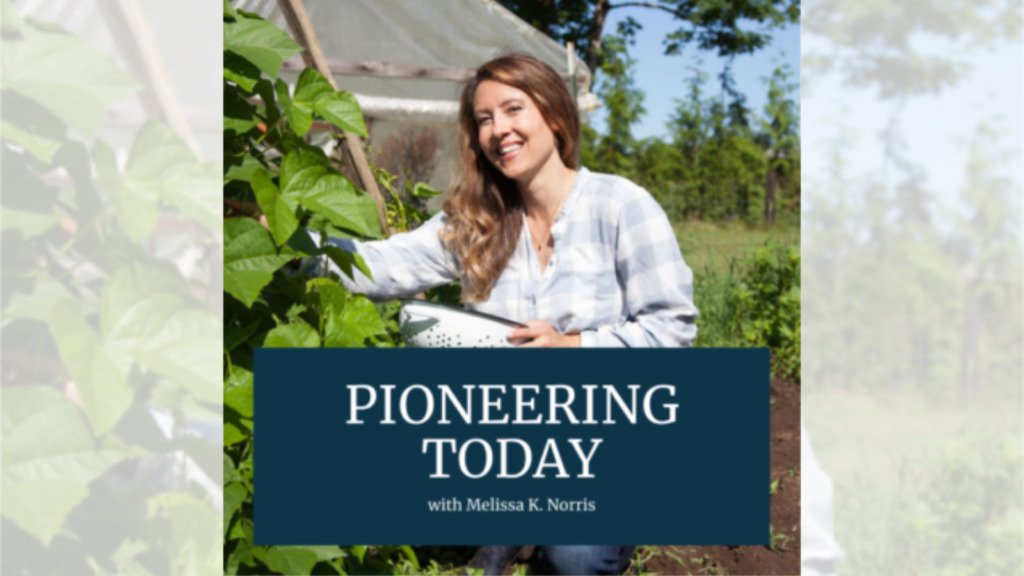 Pioneering Today Podcast
