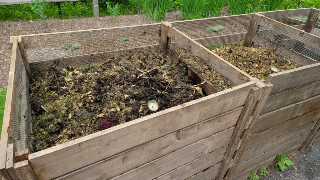 Compost Pile