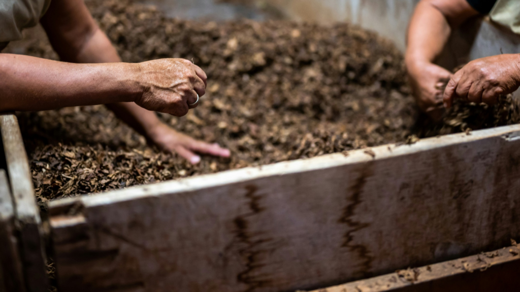 Compost