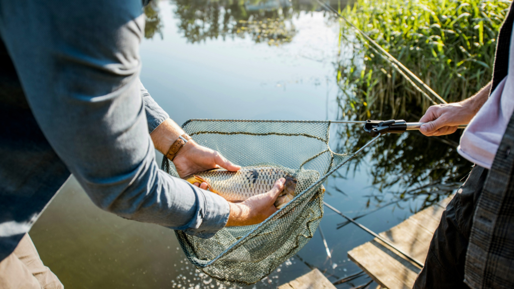 Fish Catching 