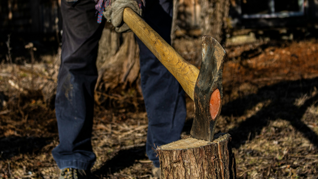 Chopping Wood