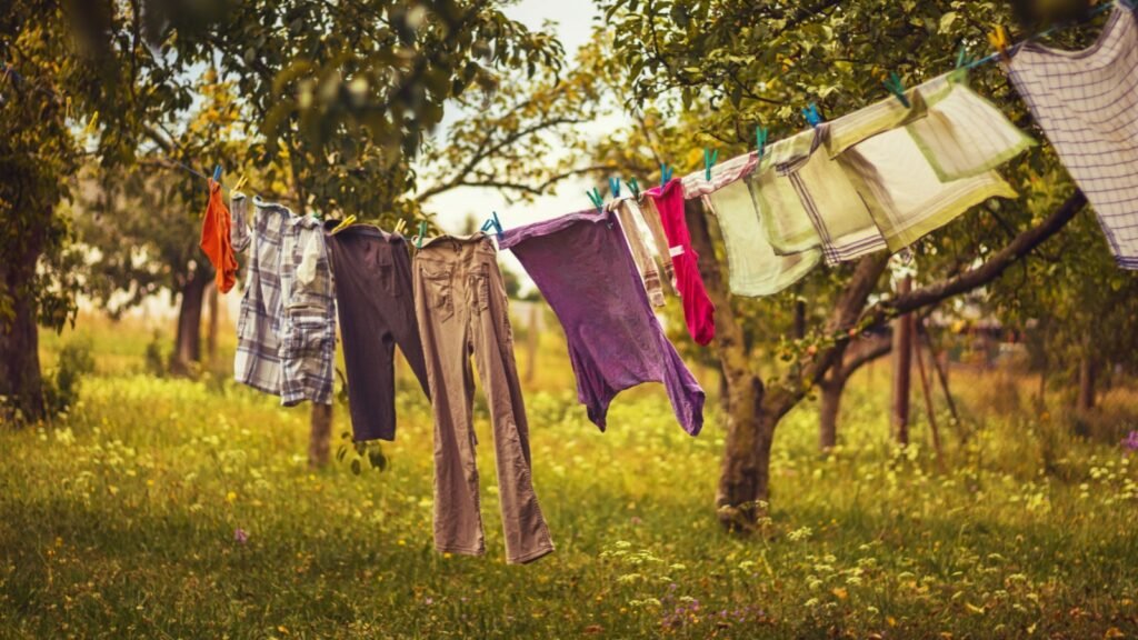 clothesline
