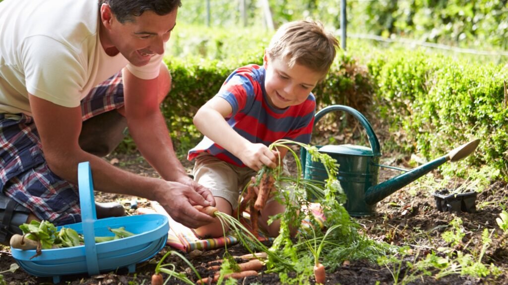 father and son harvesting carrots on home garden
