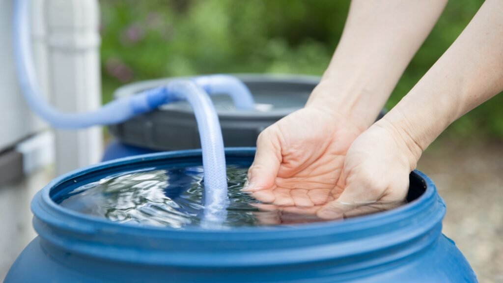 collecting rain water
