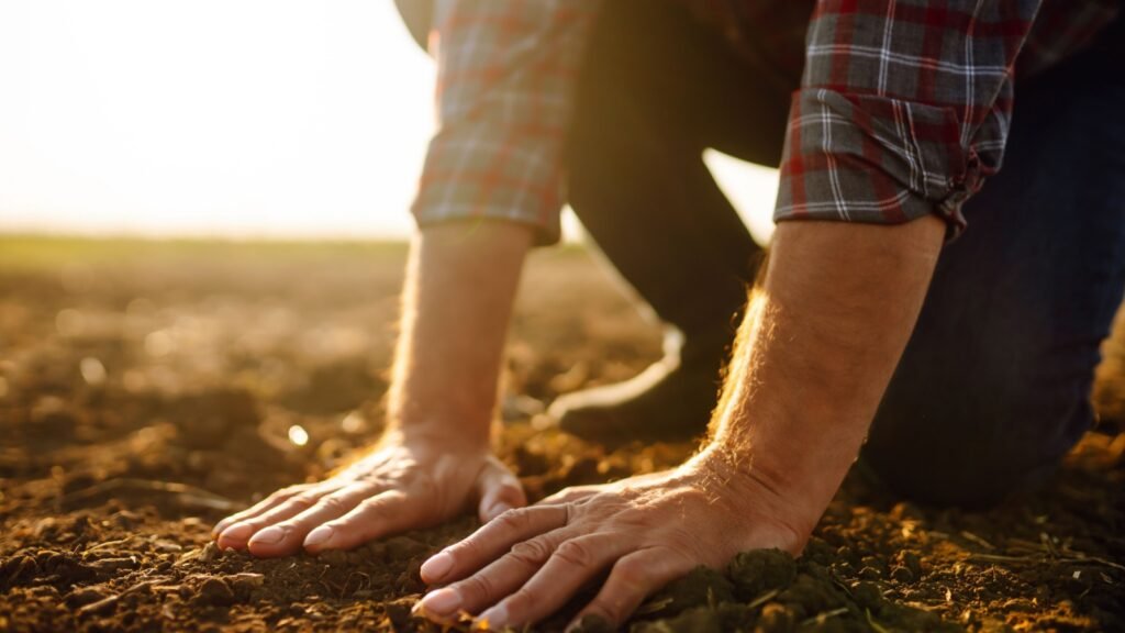 checking soil
