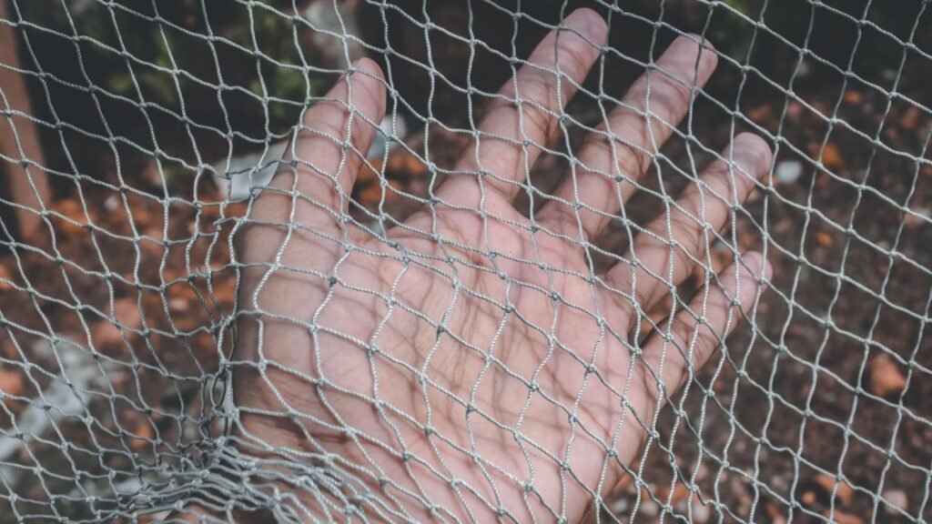 net trap
