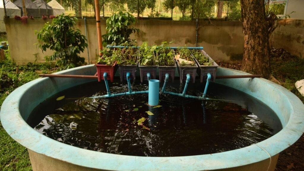 Aquaponics