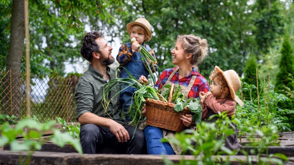 vegetable garden