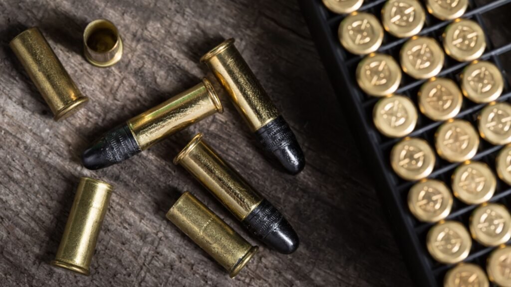 .22 ammo
