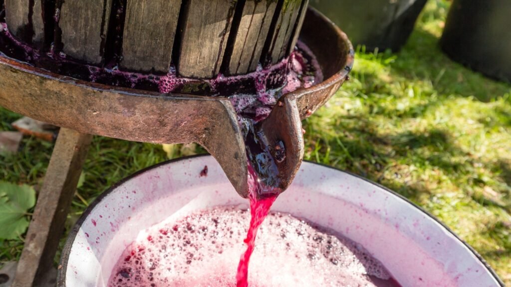 making wine
