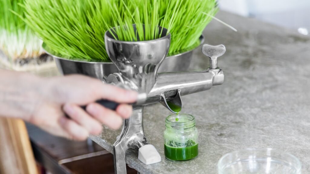 wheat grass juicer
