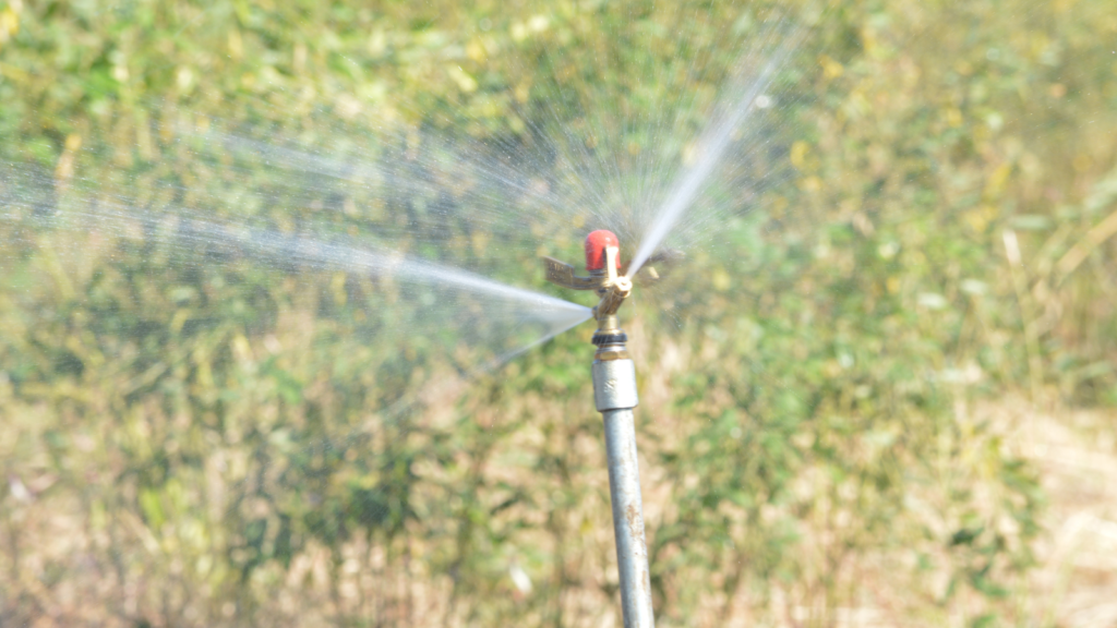 sprinkler with motion sensor
