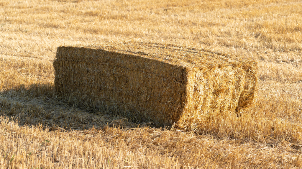 rectangular straw bale
