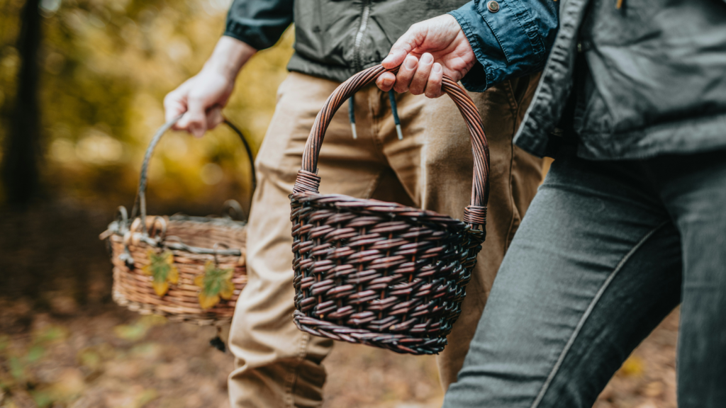 foraging edibles 
