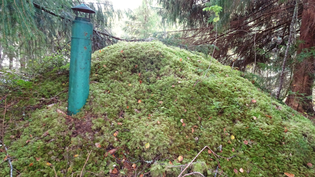 ventilation above root cellar
