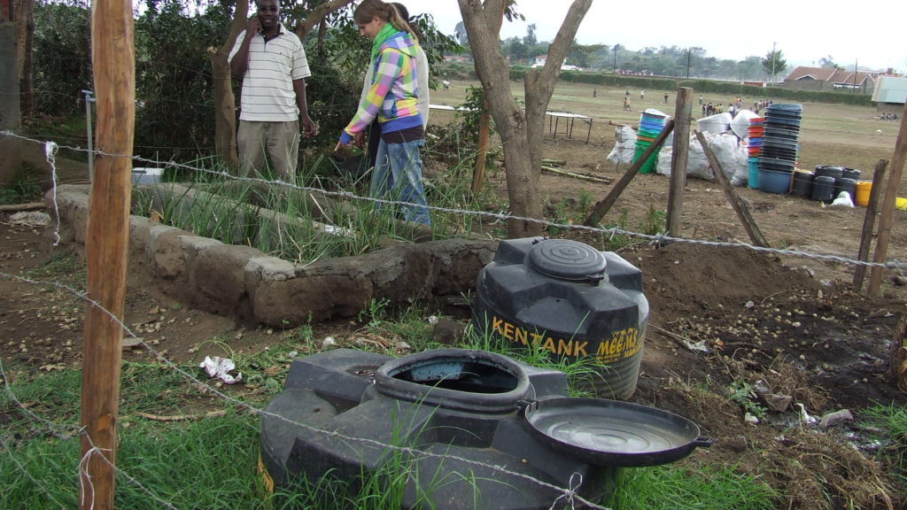 greywater system
