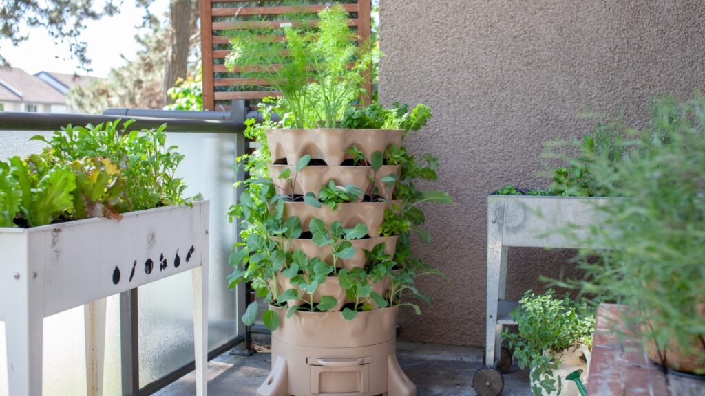 Salad Tower