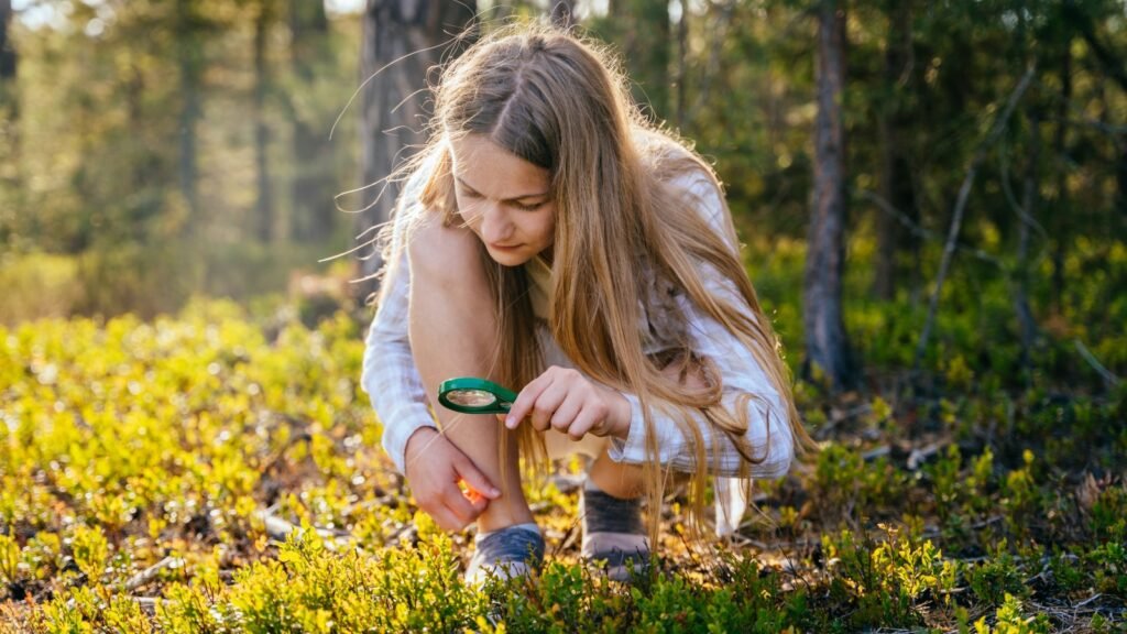 Food foraging, inspecting plant