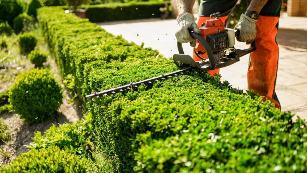 Keep Shrubs and Bushes Trimmed