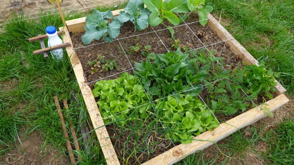 Square Foot Gardening