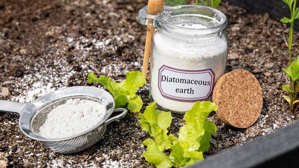 Diatomaceous Earth