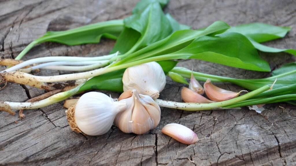 Wild Garlic