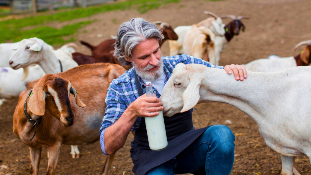 24 Affordable Dairy Animals You Can Raise At Home