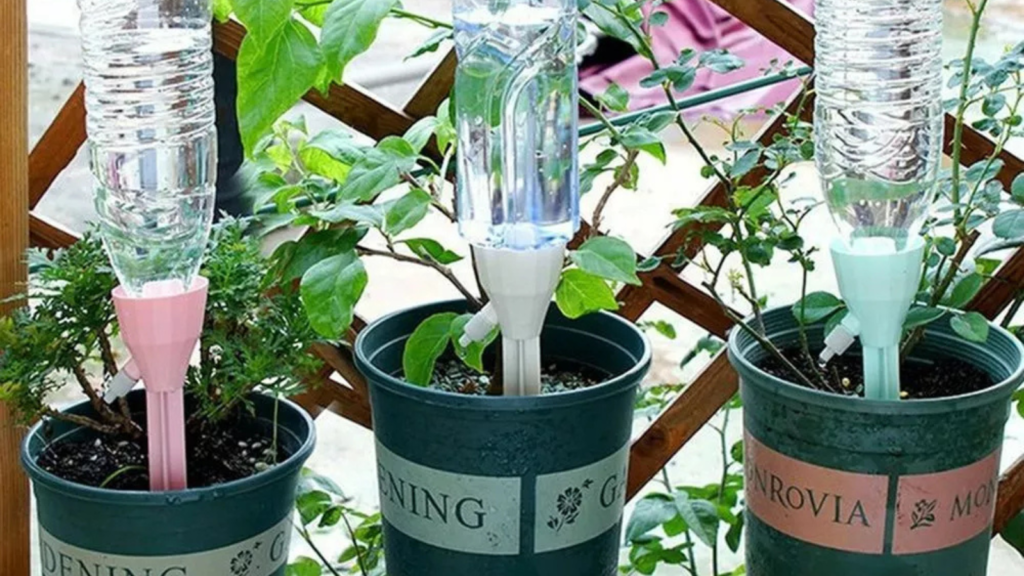 Self-Watering System 