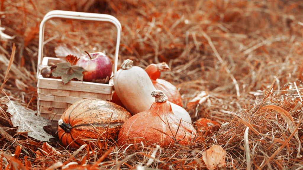 Fall Harvest